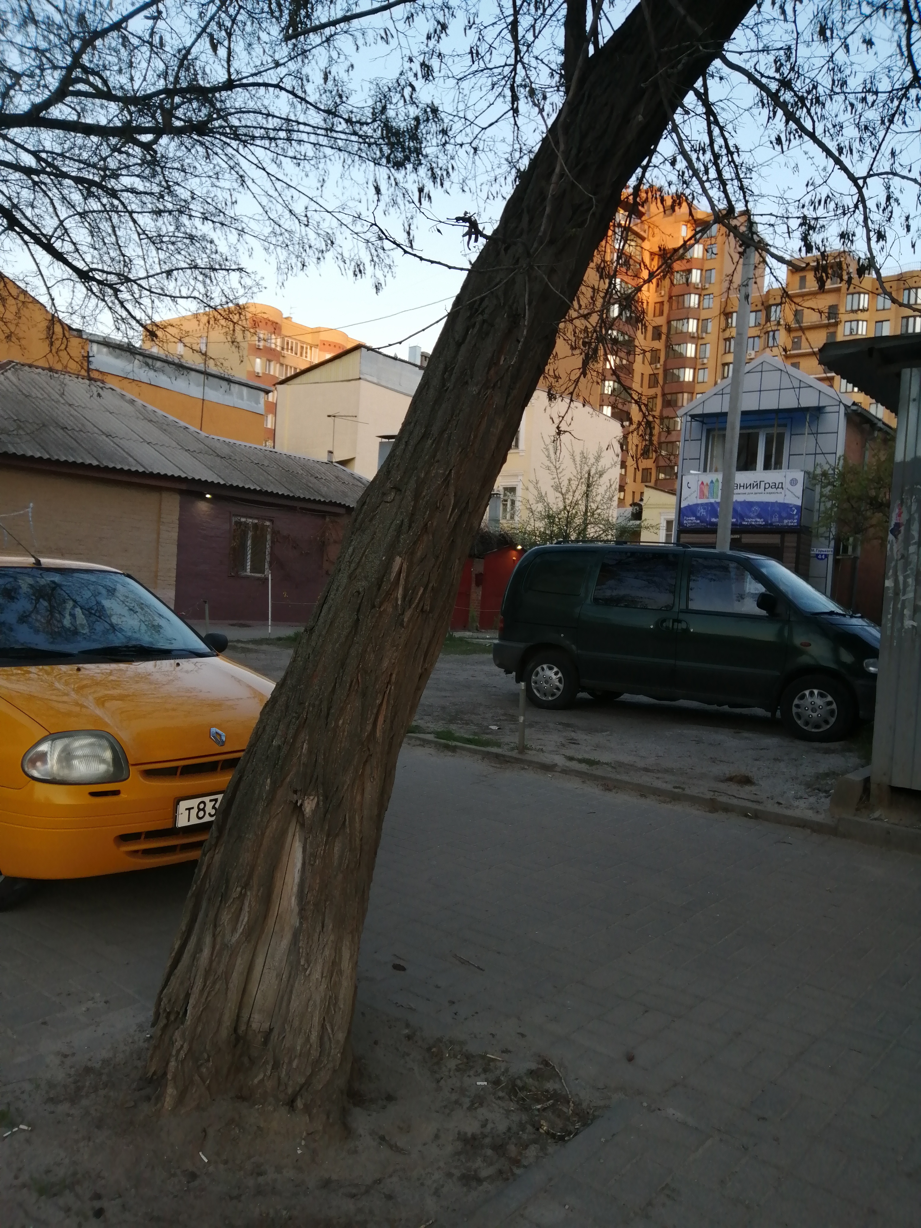 Снос аварийных деревьев в октябре 2019 года